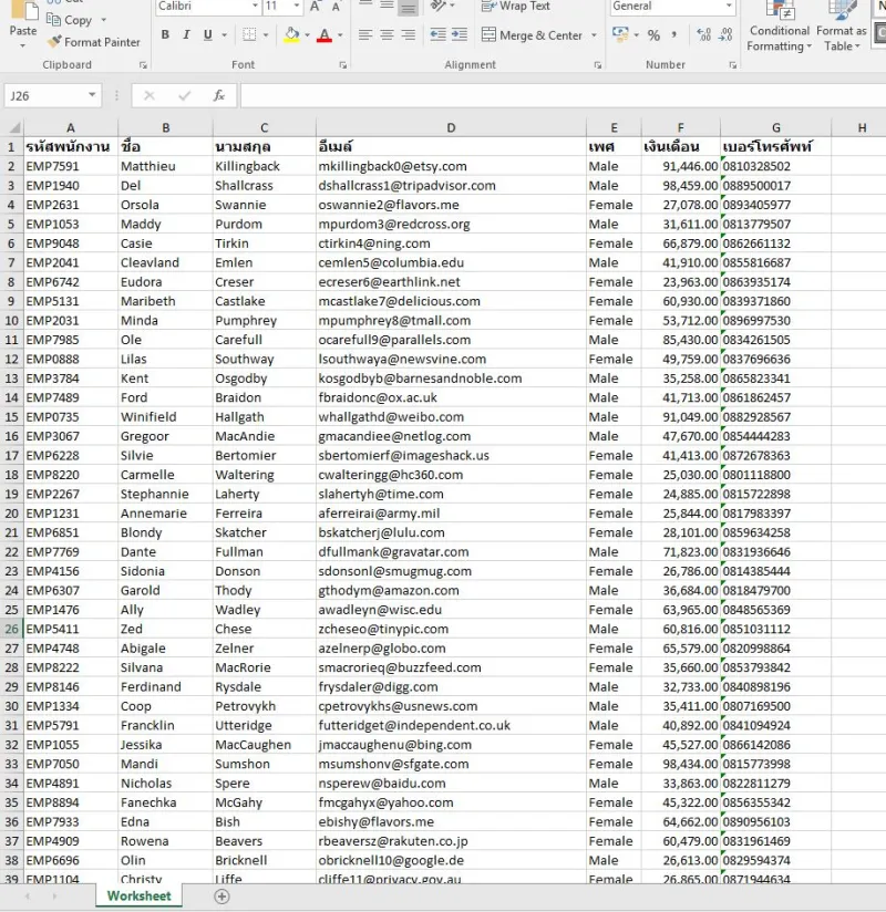 spreadsheet