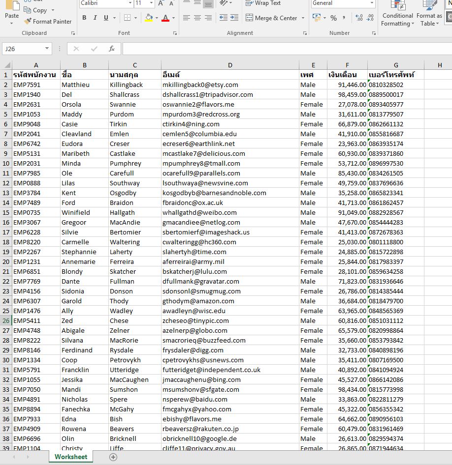spreadsheet